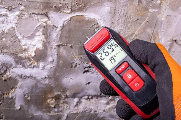 Best Mold Testing  in Durant, IA