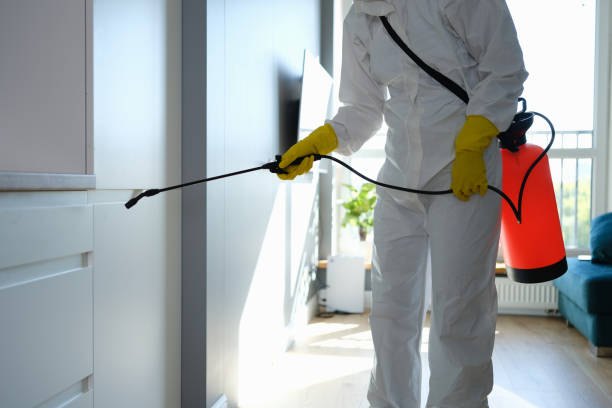 Best Professional Mold Removal  in Durant, IA