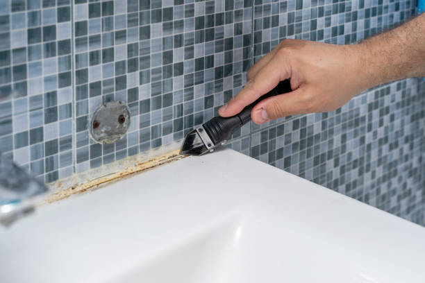 Best Mold Cleaning Services  in Durant, IA
